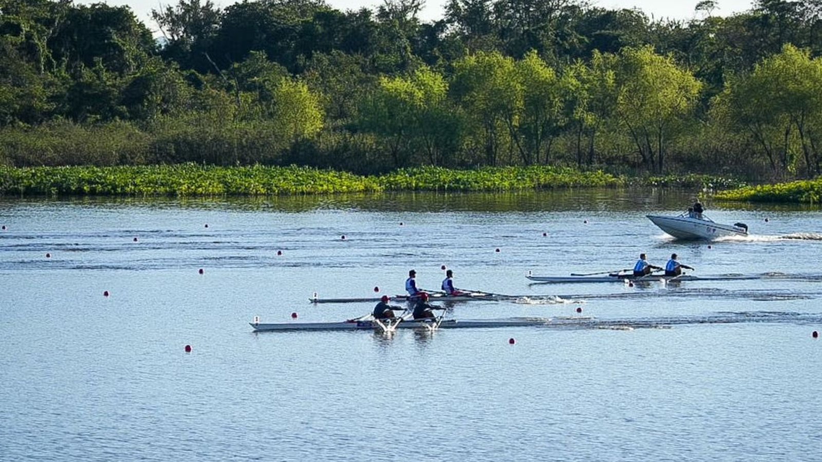 Plecas e informacion - 2025-08-10T134339.200