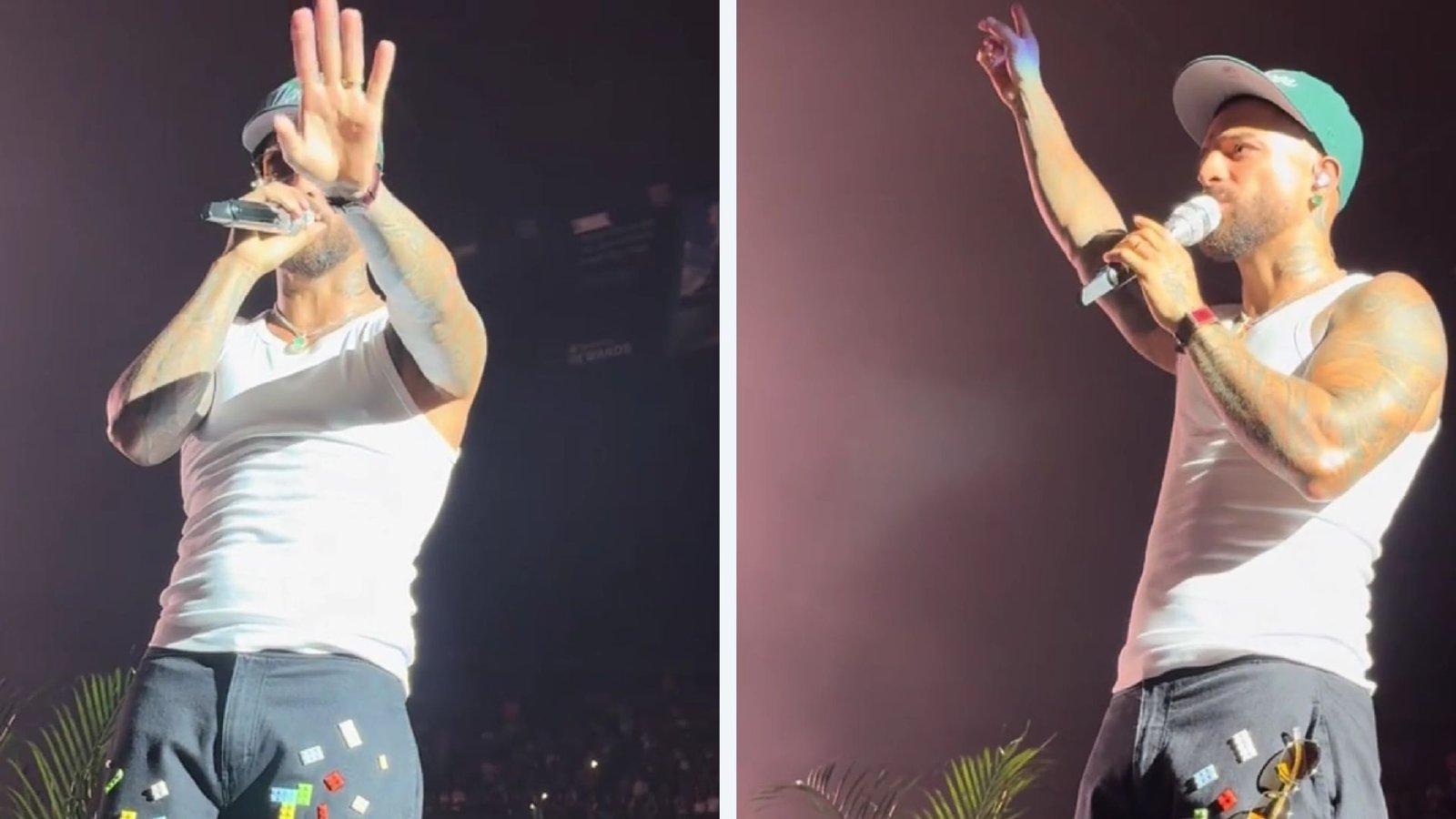 Plecas e informacion - 2025-08-11T111923.646