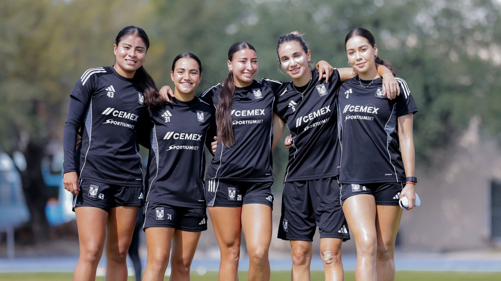 Plecas e informacion - 2025-08-12T093638.145