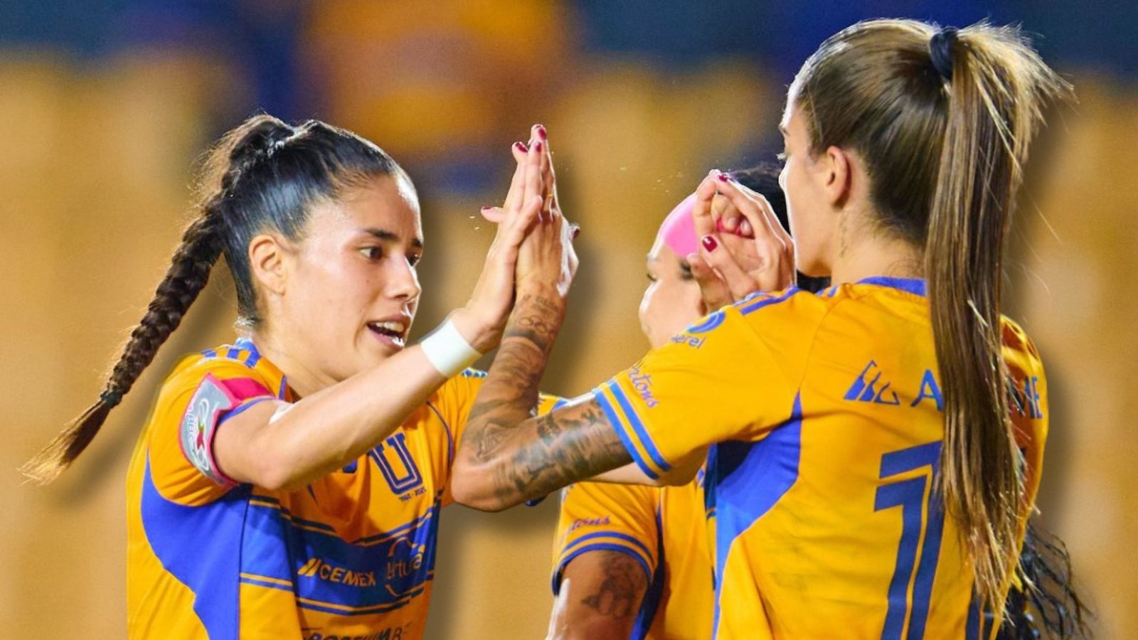 Plecas e informacion - 2025-08-13T093543.526