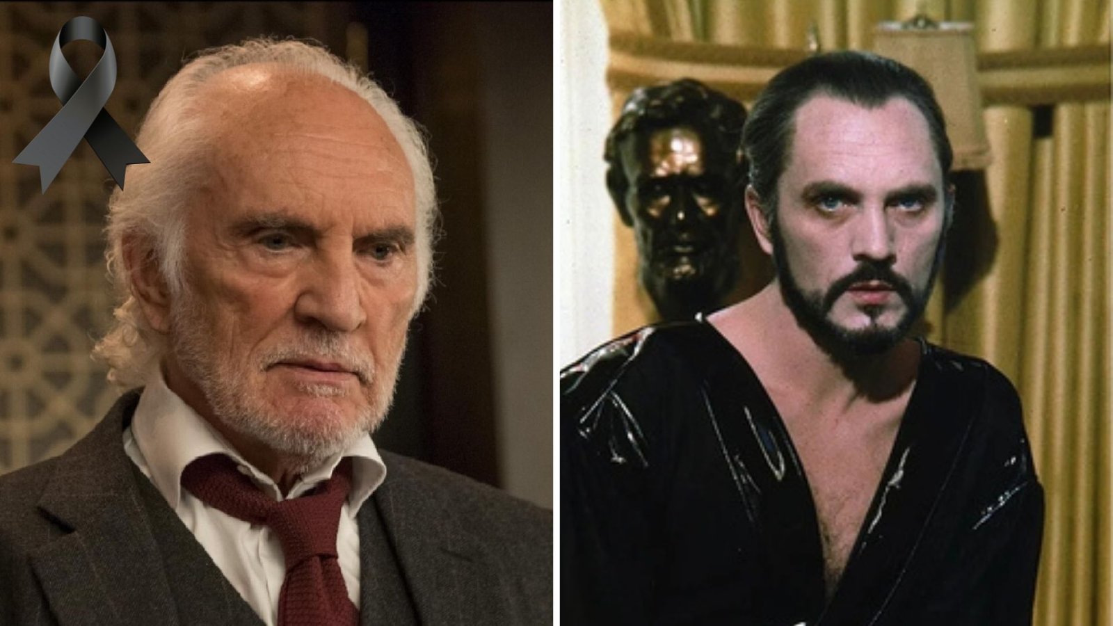 Plecas e informacion - 2025-08-18T094313.002