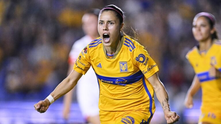 Plecas e informacion - 2025-08-19T095730.510