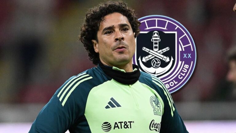 Plecas e informacion - 2025-08-19T103858.519