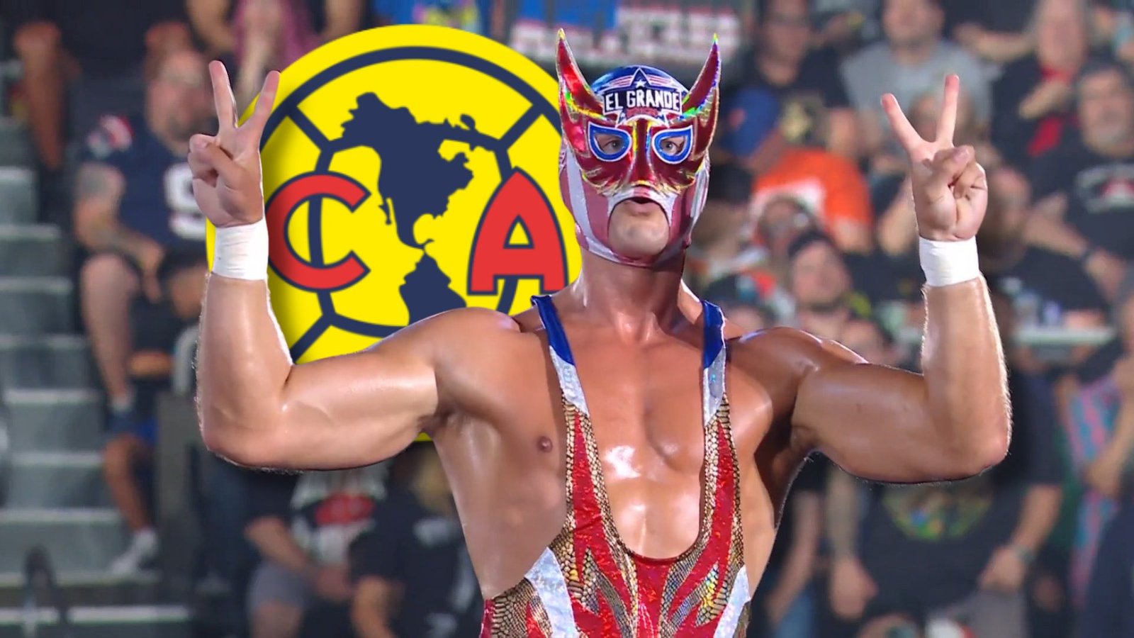 Plecas e informacion - 2025-08-20T091715.099