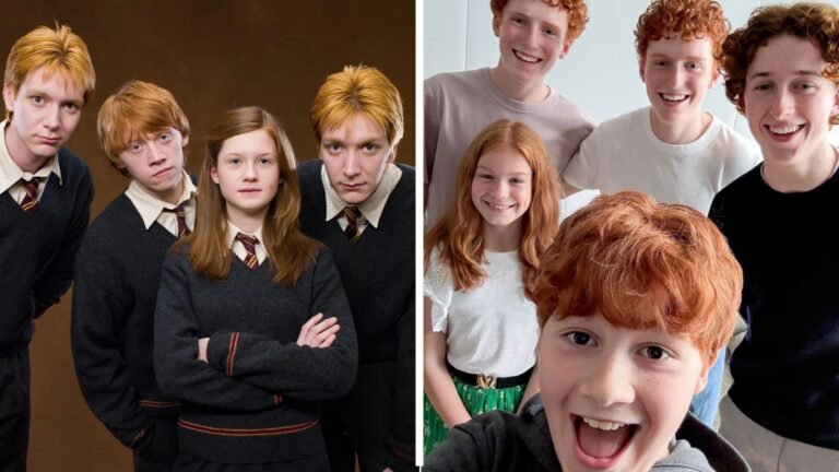 Plecas e informacion - 2025-08-20T124102.576