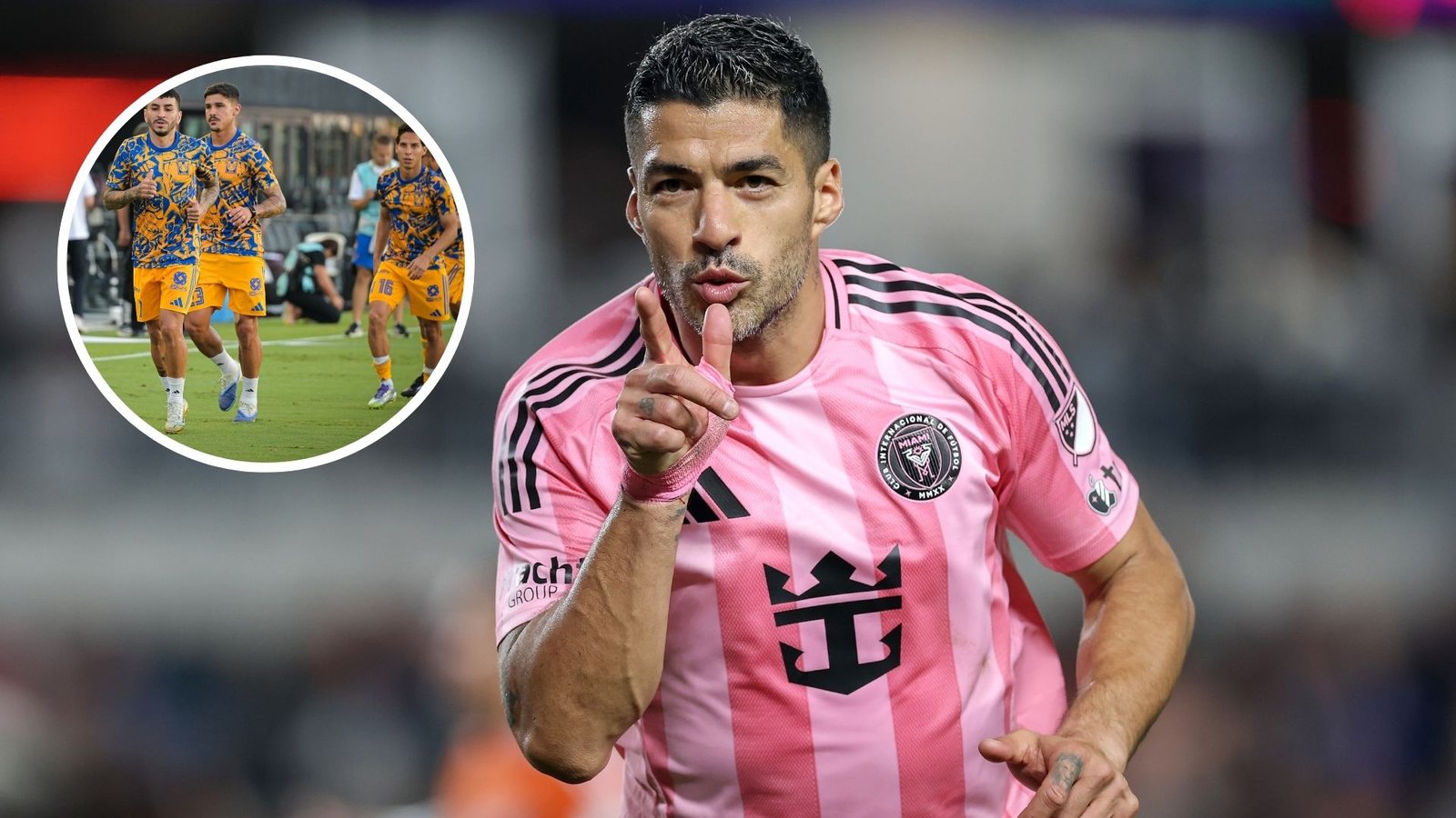 Plecas e informacion - 2025-08-21T113342.585