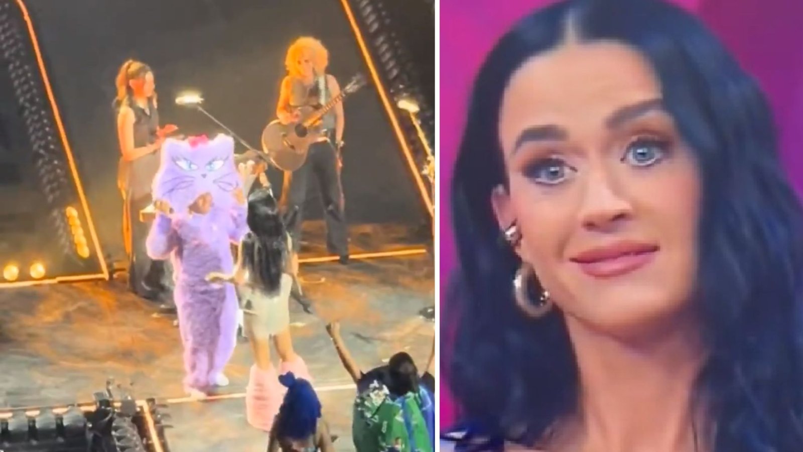 Plecas e informacion - 2025-08-21T141646.589