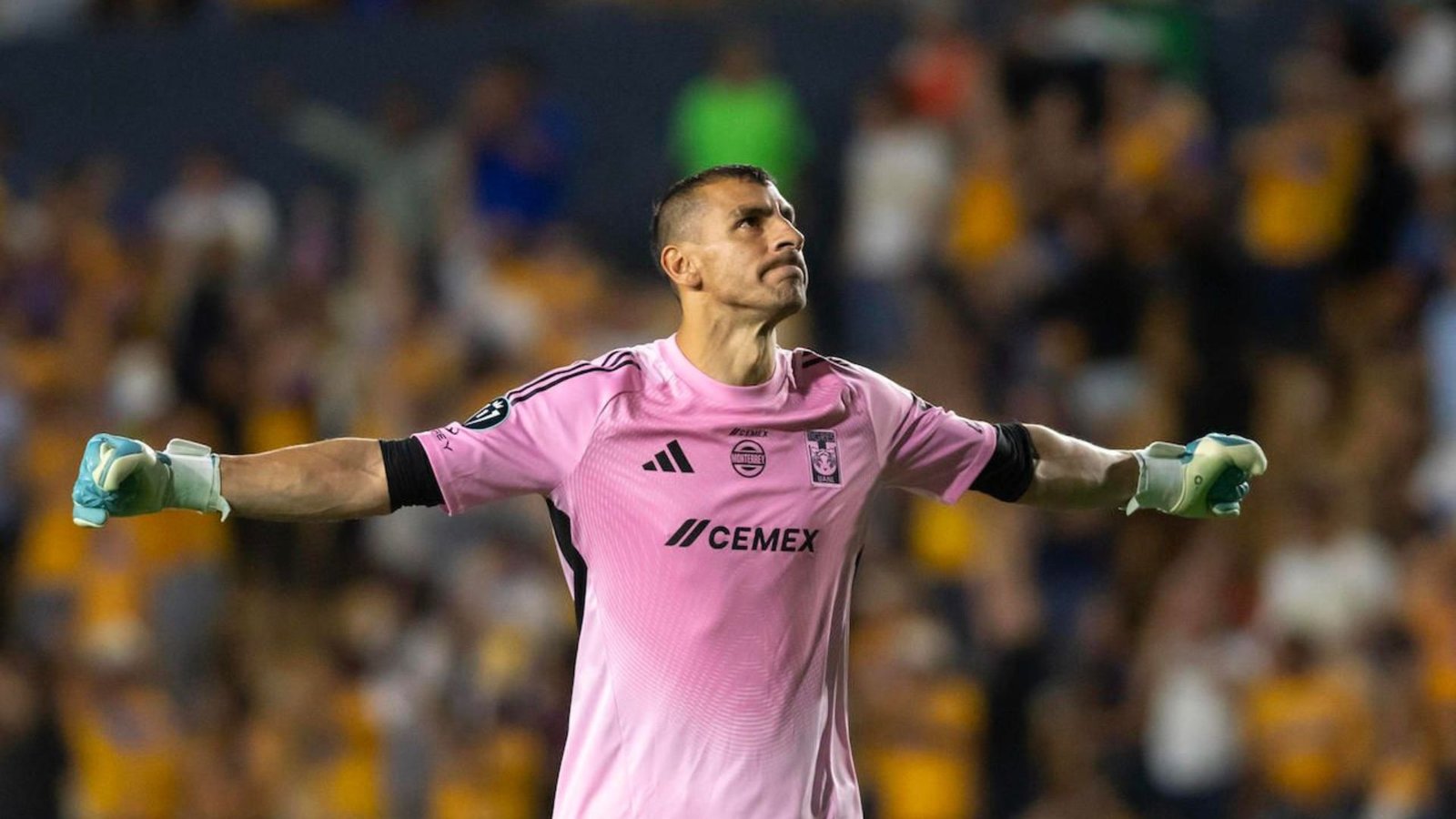 Plecas e informacion (22)