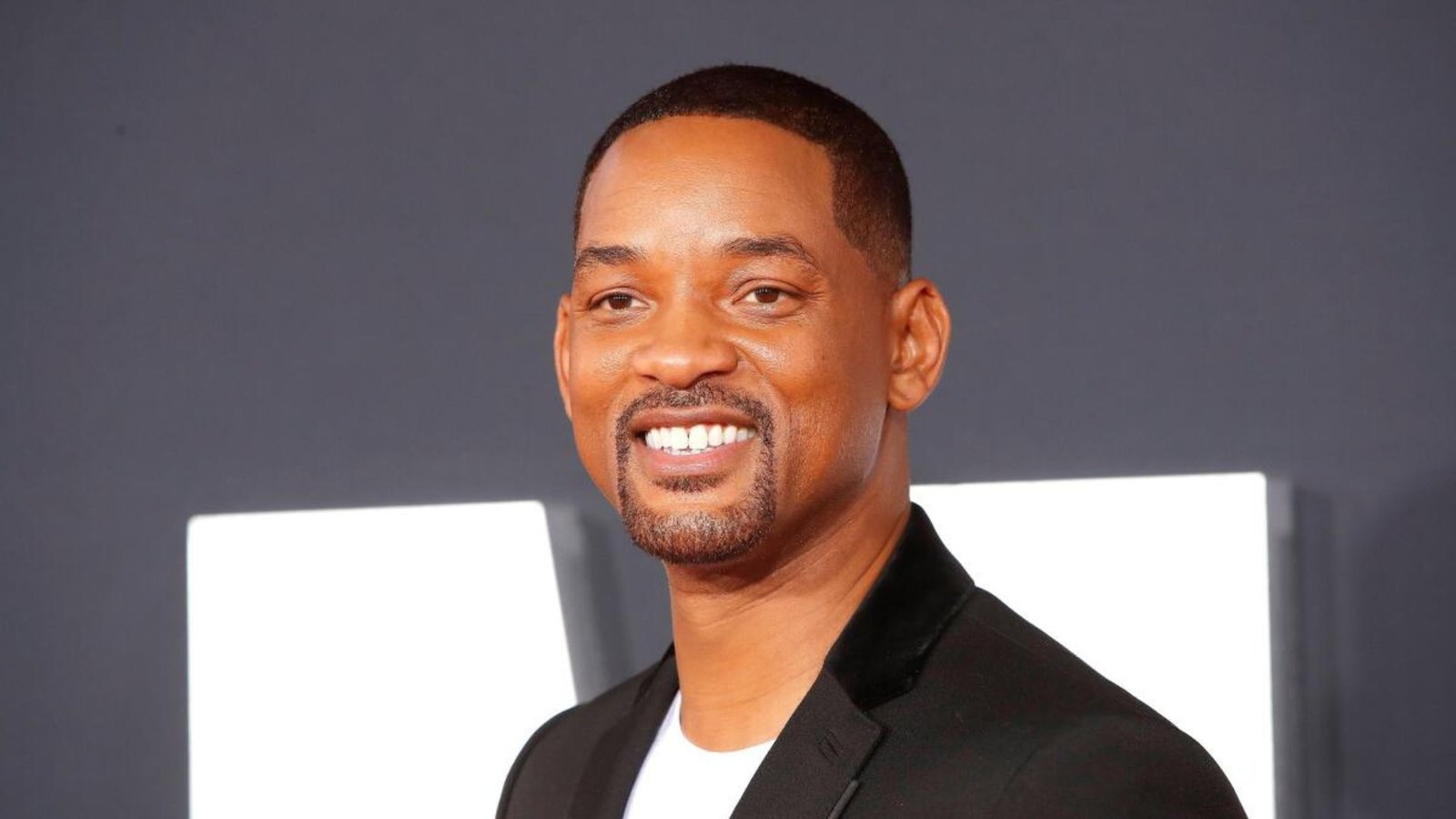 Plecas e informacion (23)