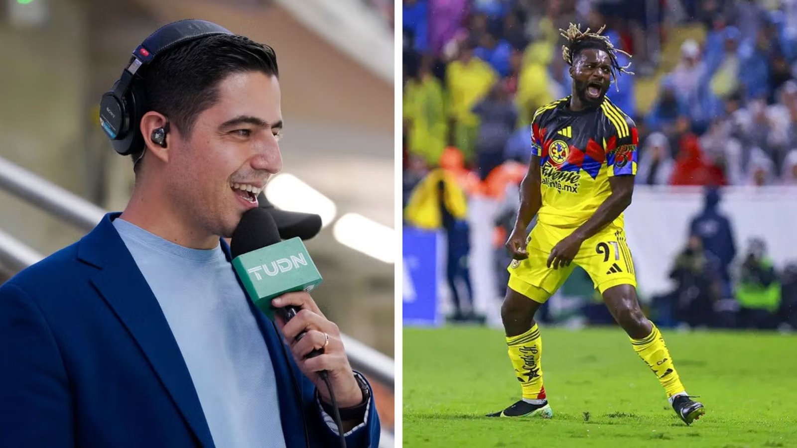 Plecas e informacion (28)