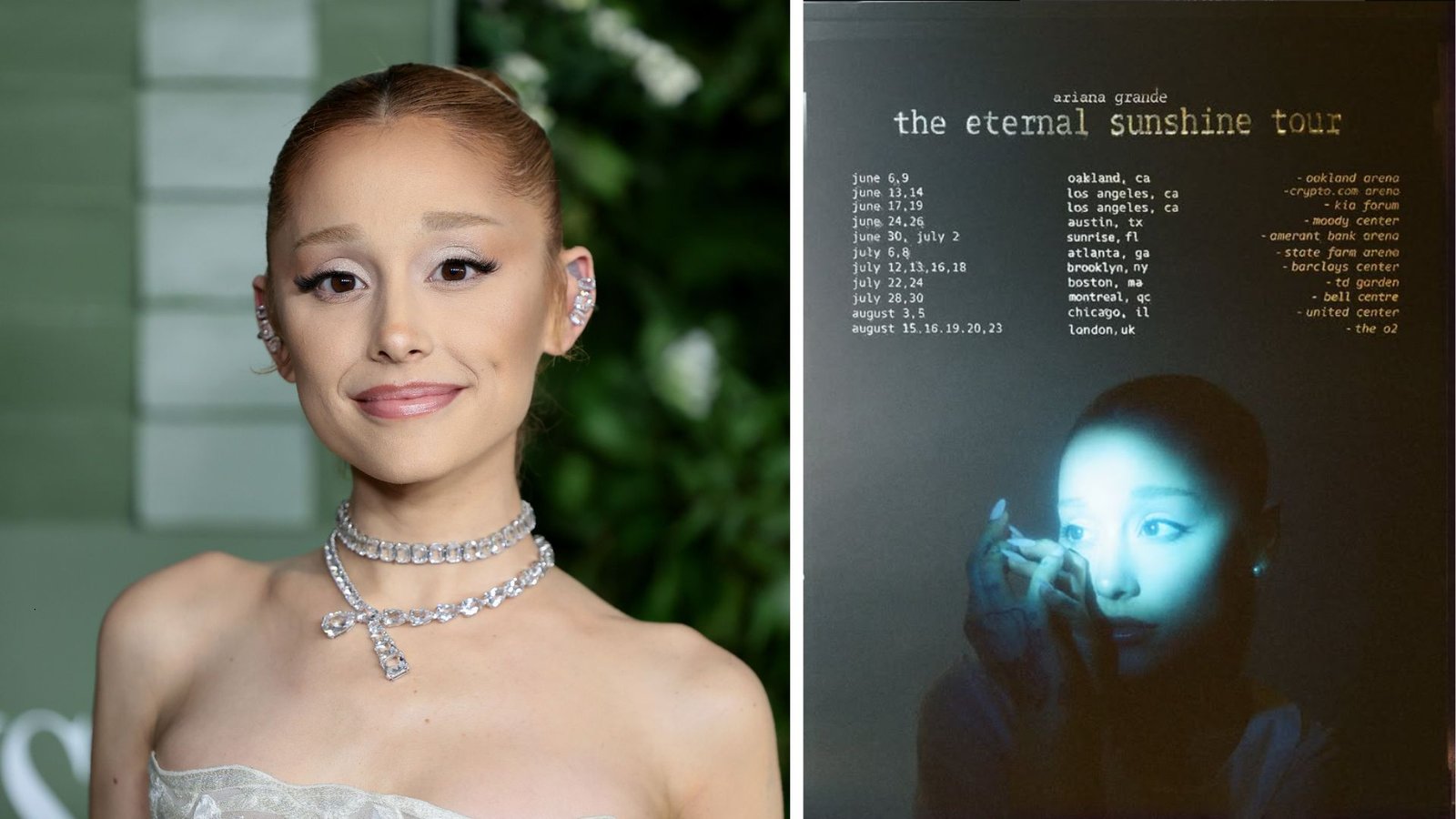 Plecas e informacion (29)