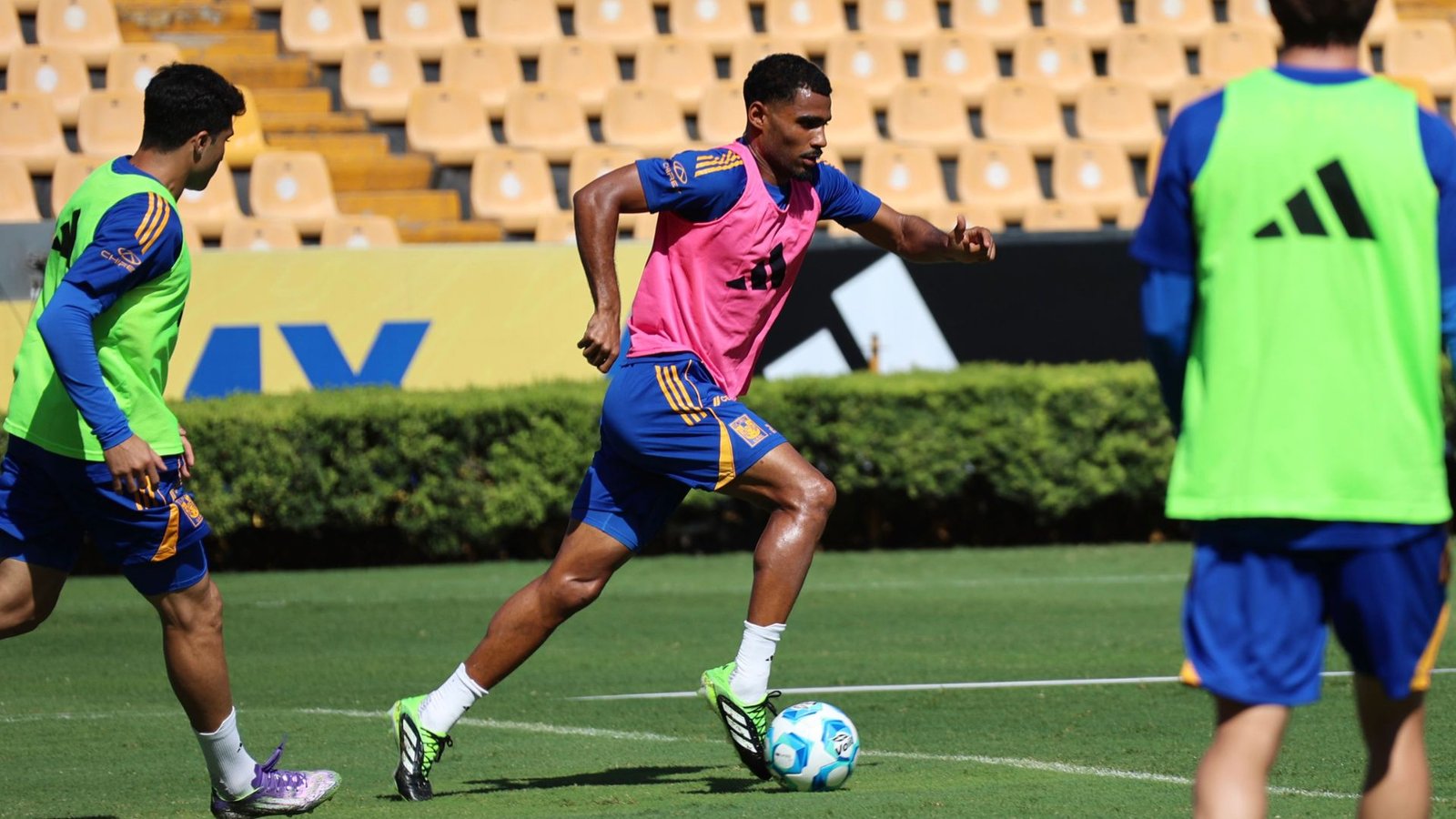 Plecas e informacion (34)