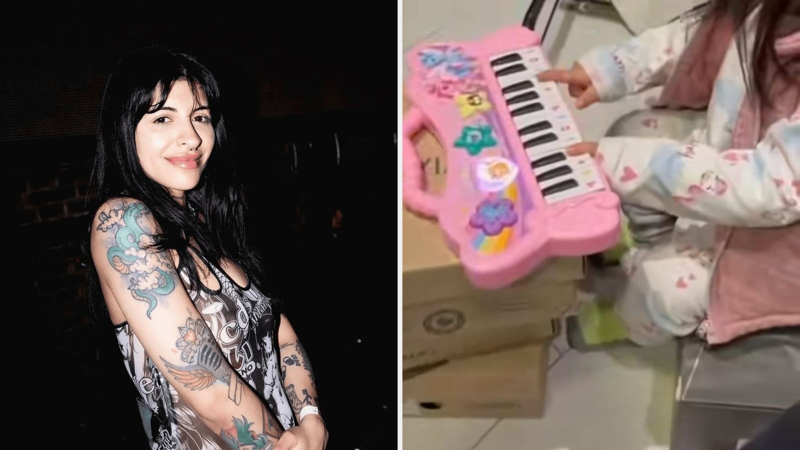 Plecas e informacion (35)