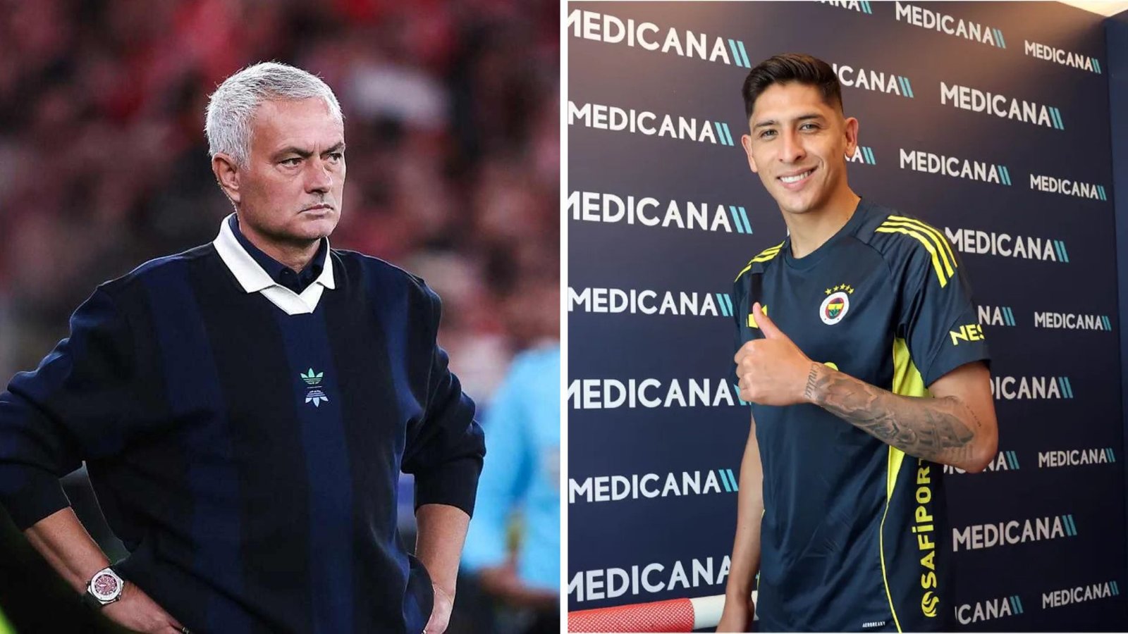 Plecas e informacion (36)