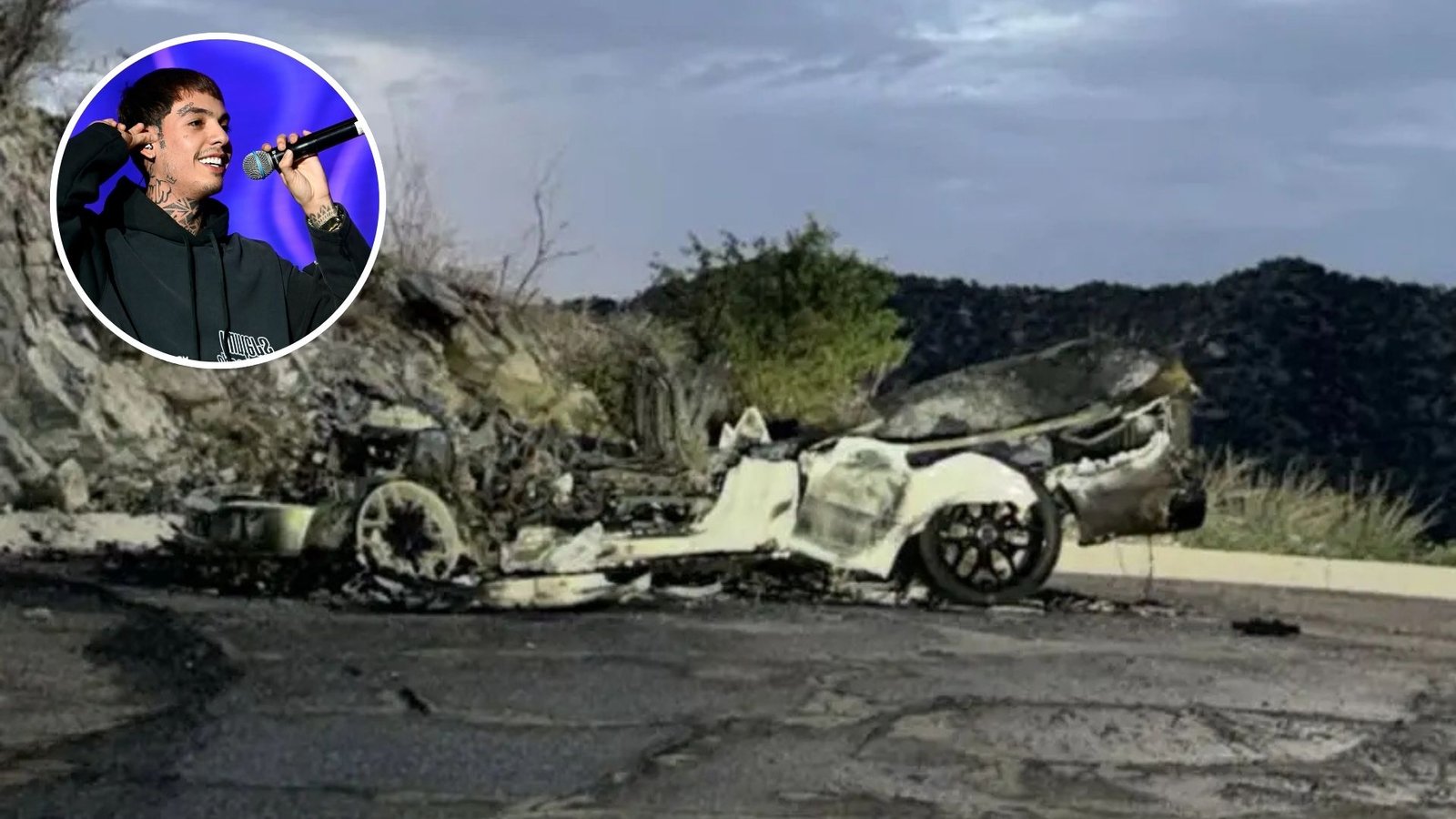 Plecas e informacion (38)