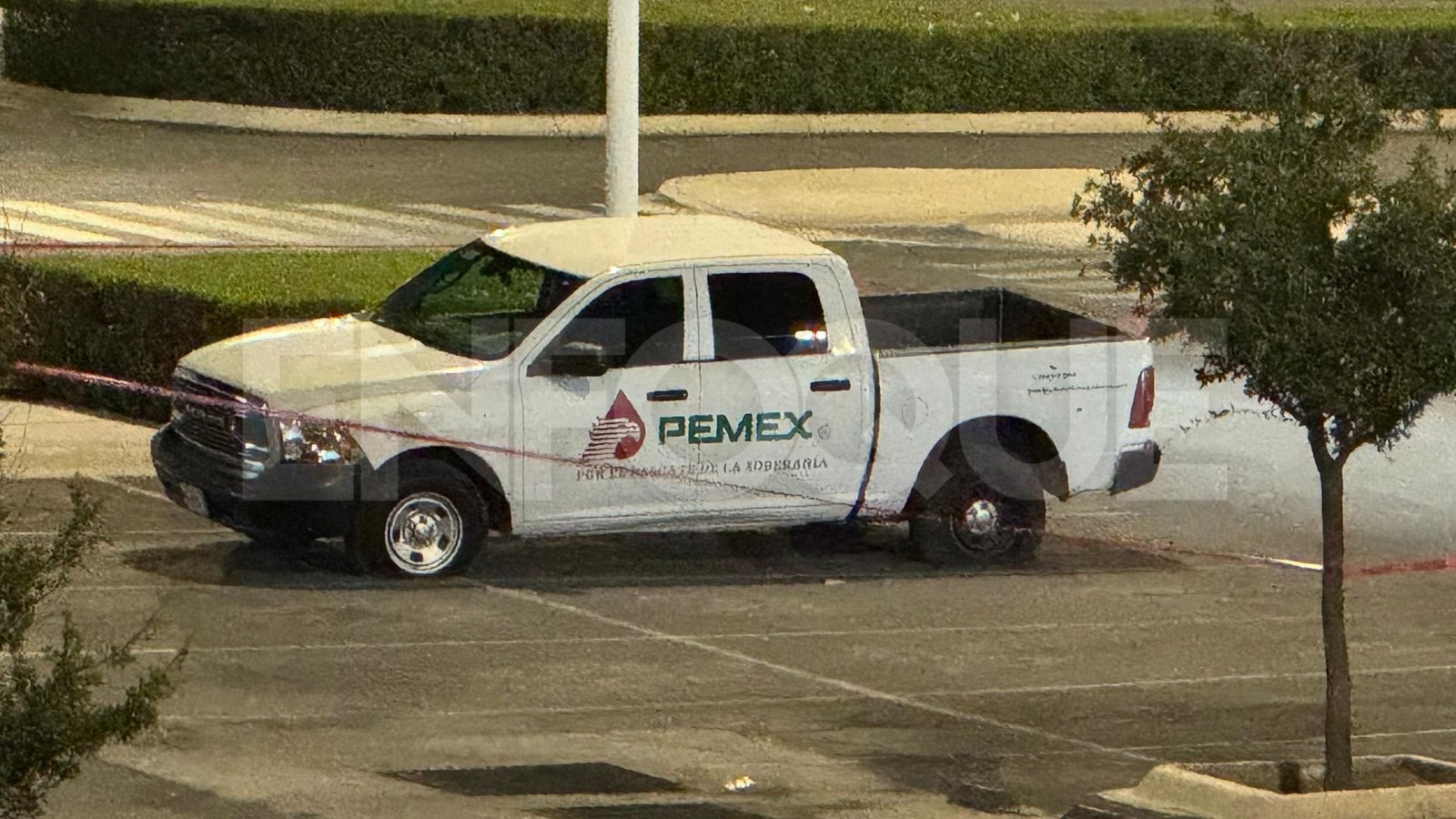 Plecas e informacion (4)