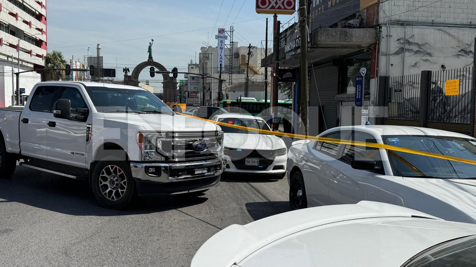 Plecas e informacion (4)