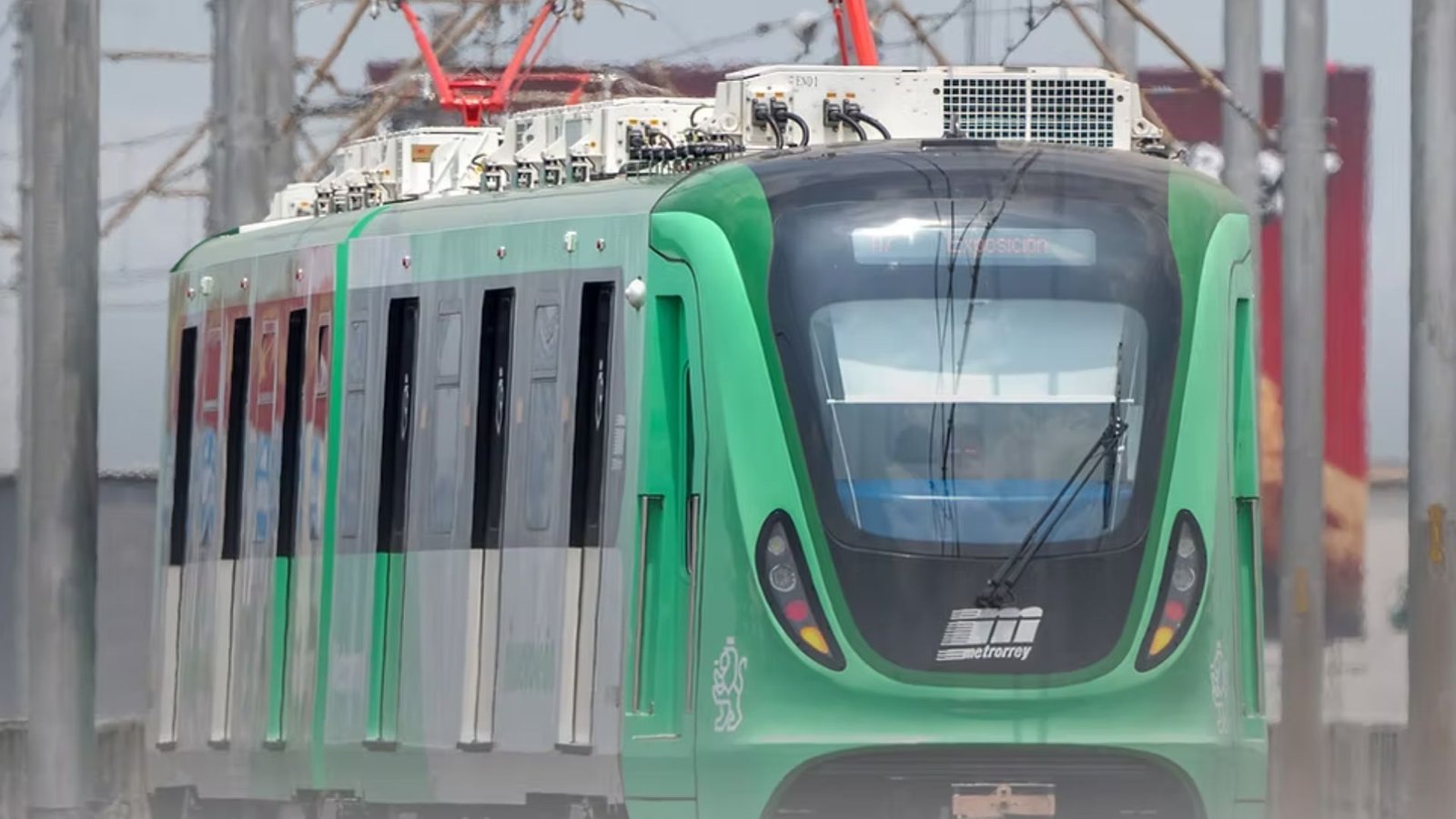 Plecas e informacion (6)