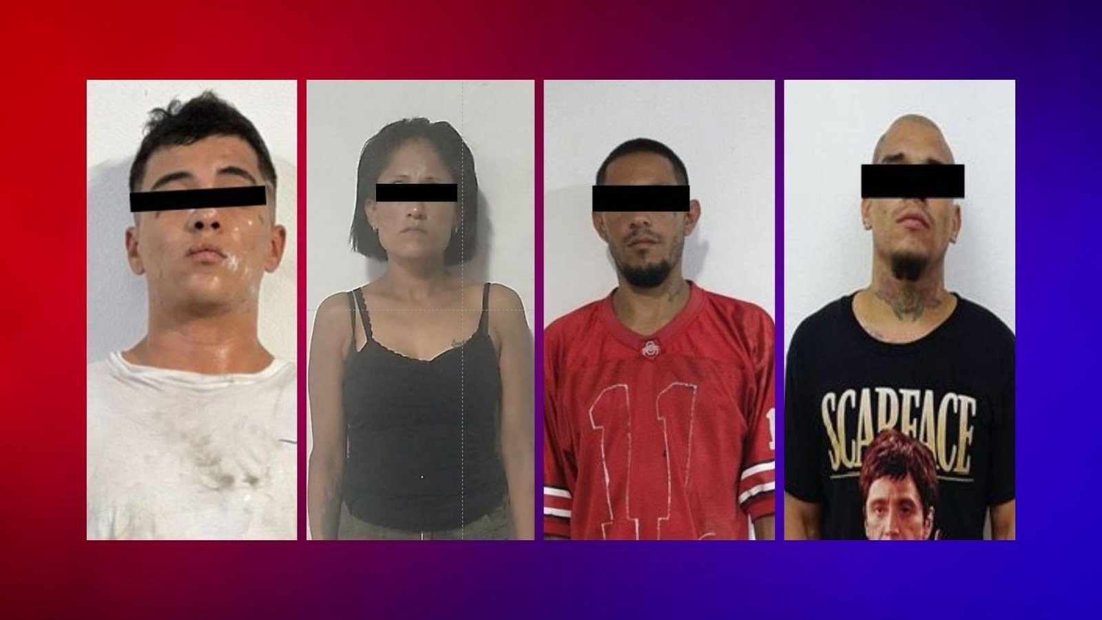 Plecas e informacion (7)