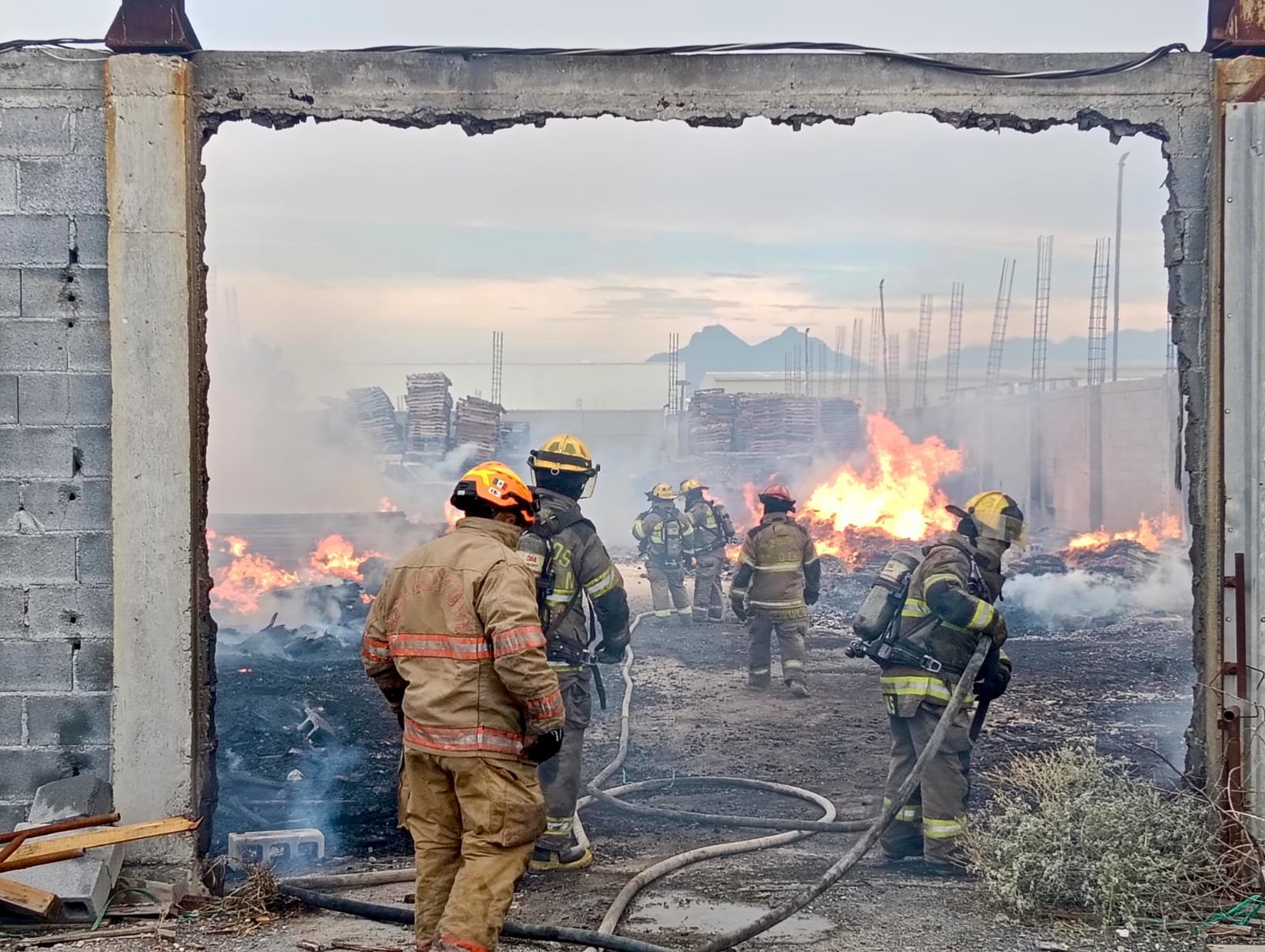 WhatsApp Image 2025-08-02 at 9.04.18 PM