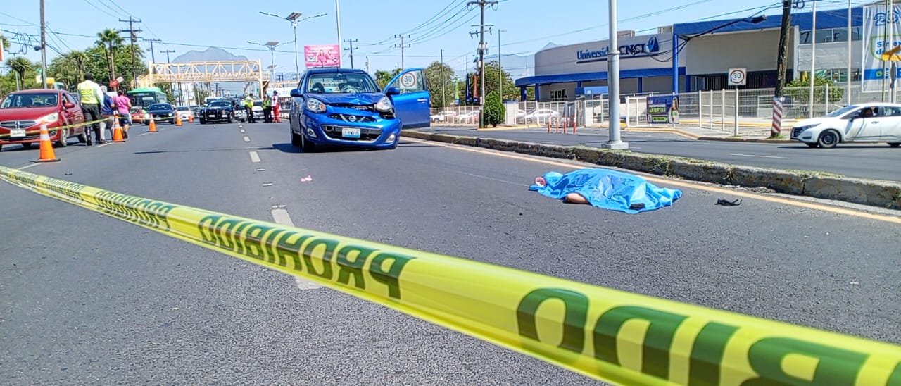 WhatsApp Image 2025-08-03 at 12.02.36 PM