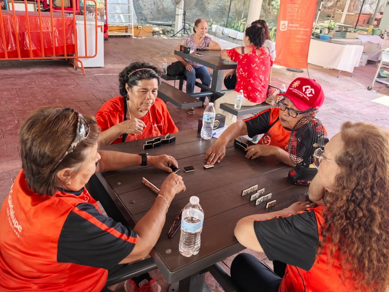 WhatsApp Image 2025-08-14 at 4.00.54 PM