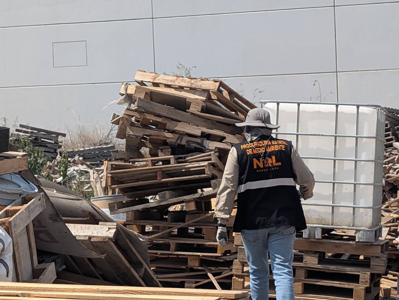 photo_4958484823941426675_y (1)