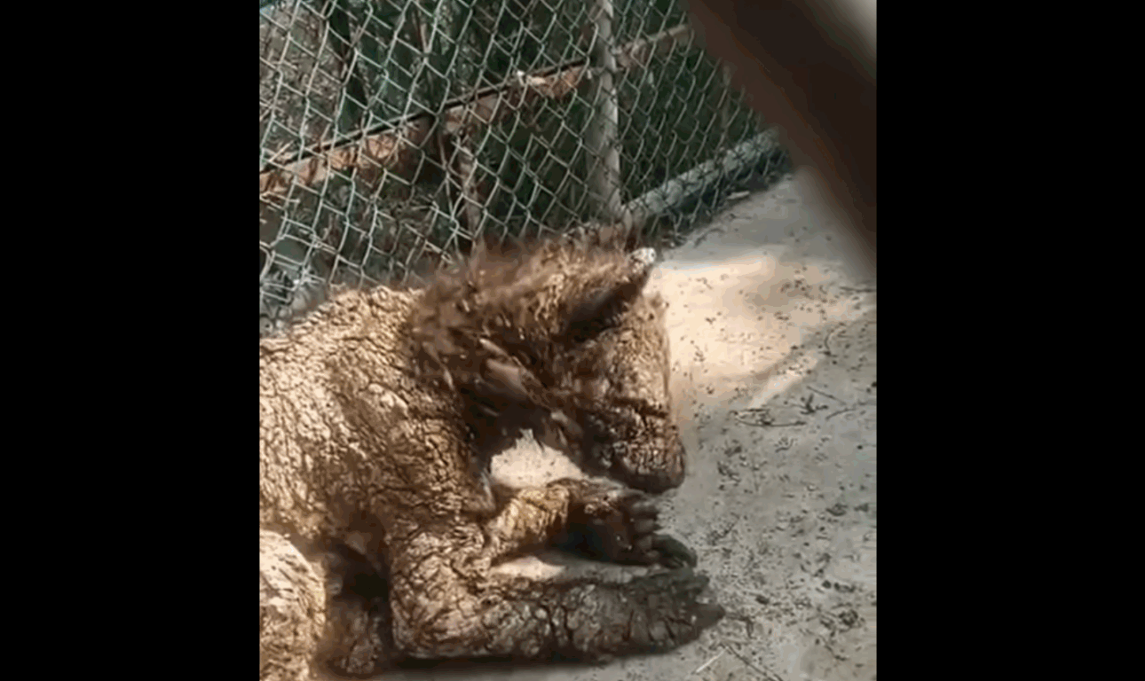 Captura de pantalla 2025-09-26 a la(s) 9.52.50 a.m.