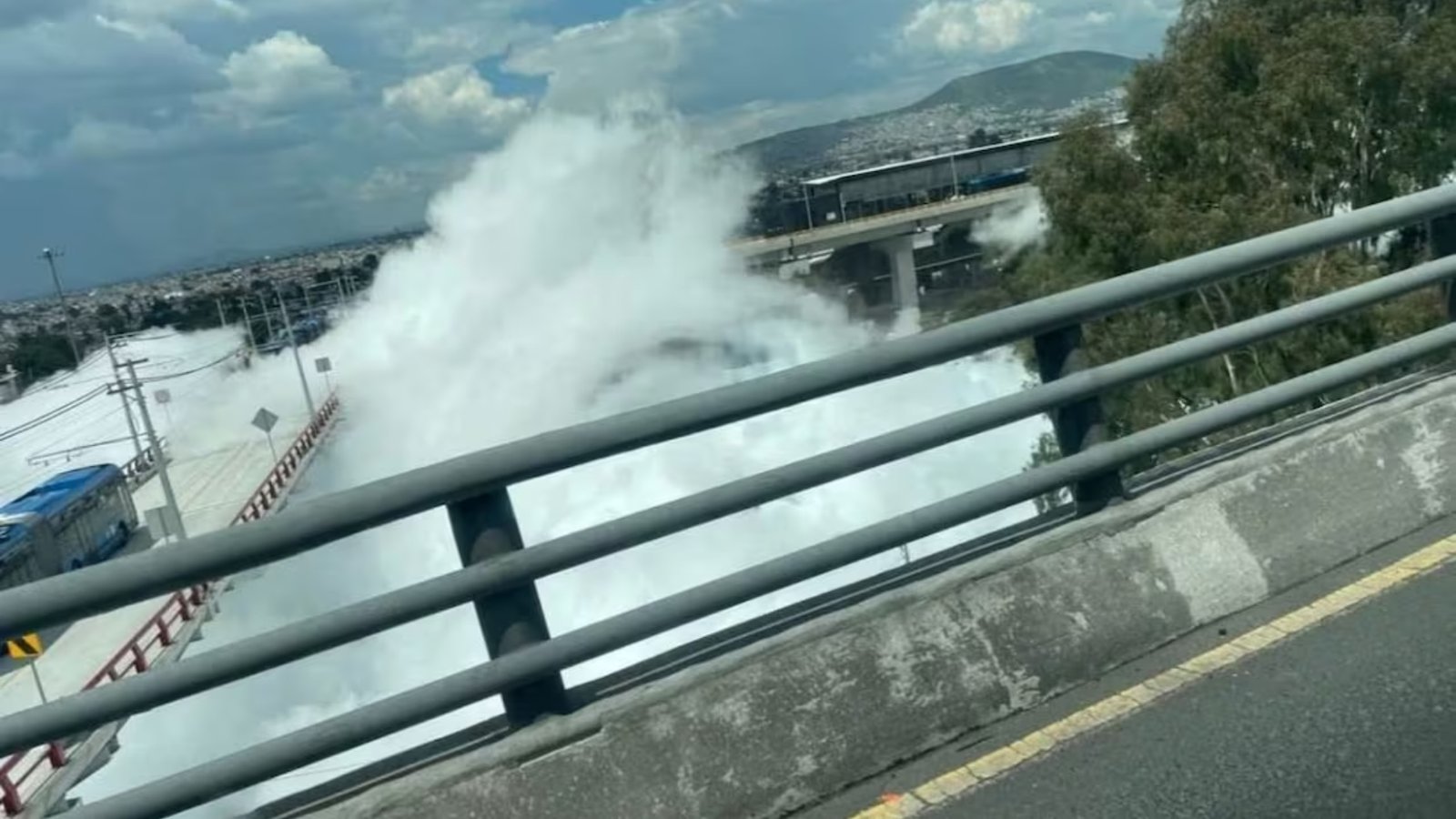 Plecas e informacion (15)