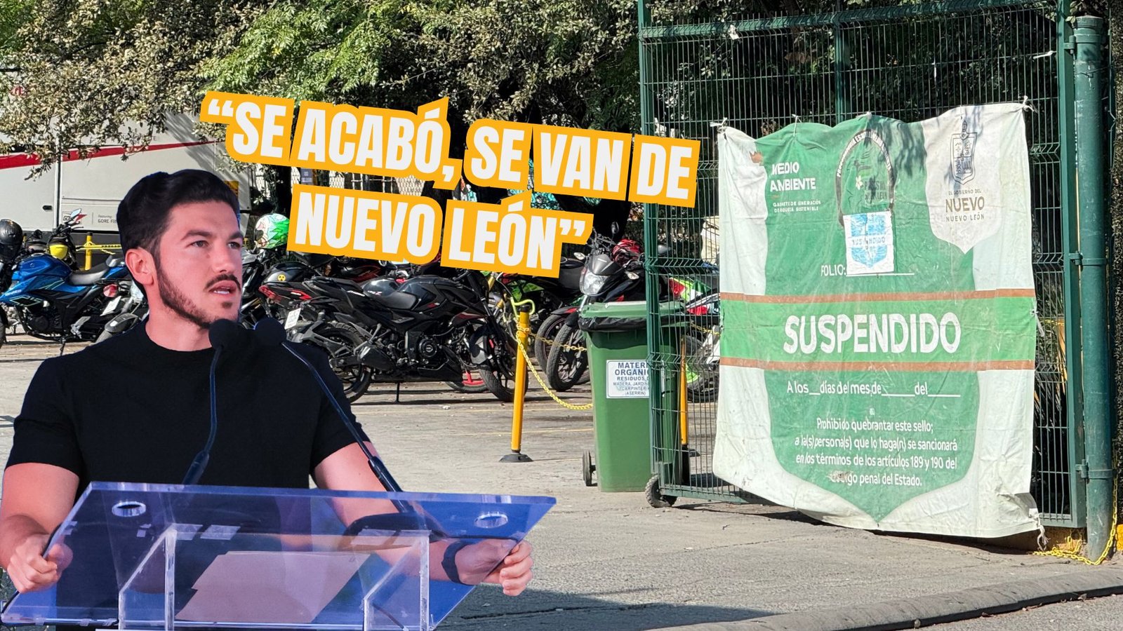 Plecas e informacion (18)