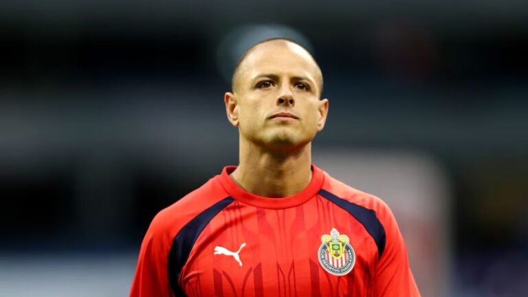 Plecas e informacion - 2025-09-13T115039.385