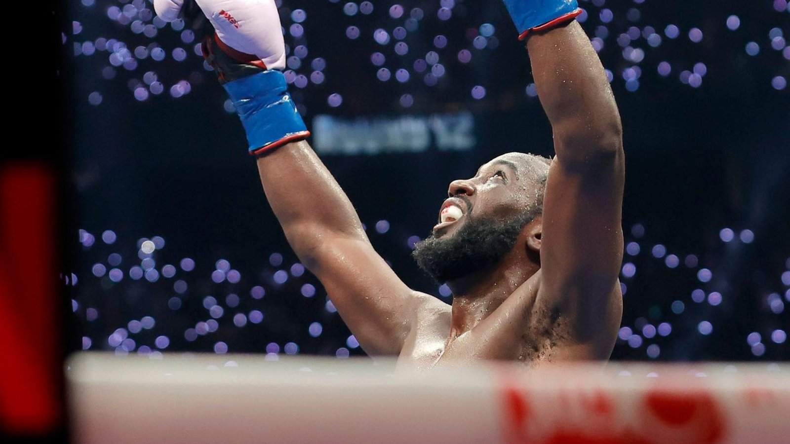 Plecas e informacion - 2025-09-14T080644.194