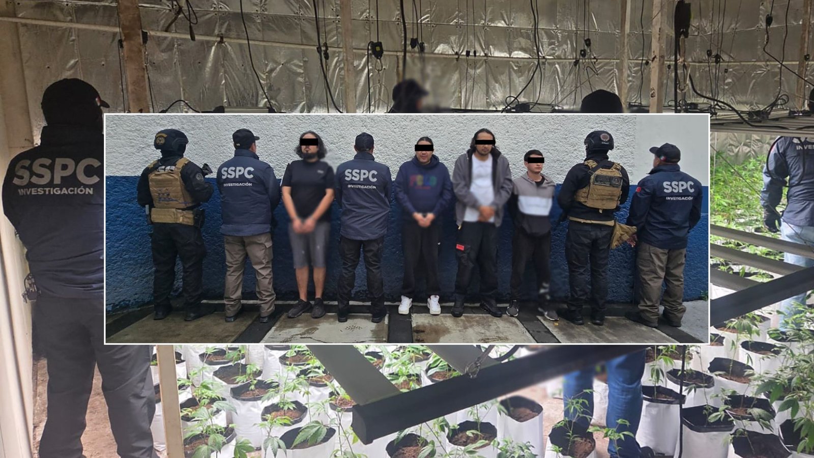 Plecas e informacion - 2025-09-14T094841.071