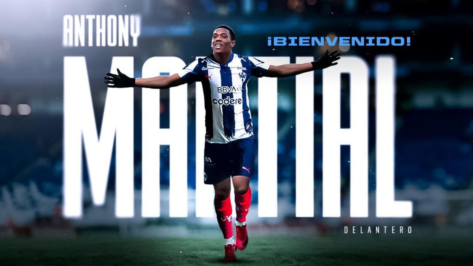 Plecas e informacion - 2025-09-15T092156.492