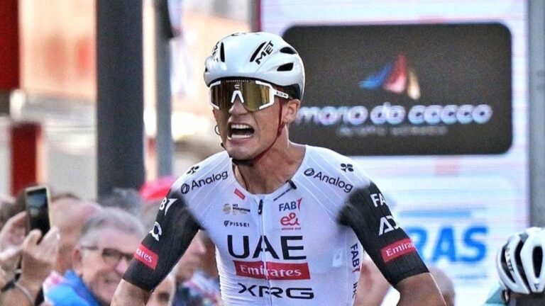 Plecas e informacion - 2025-09-15T104525.457