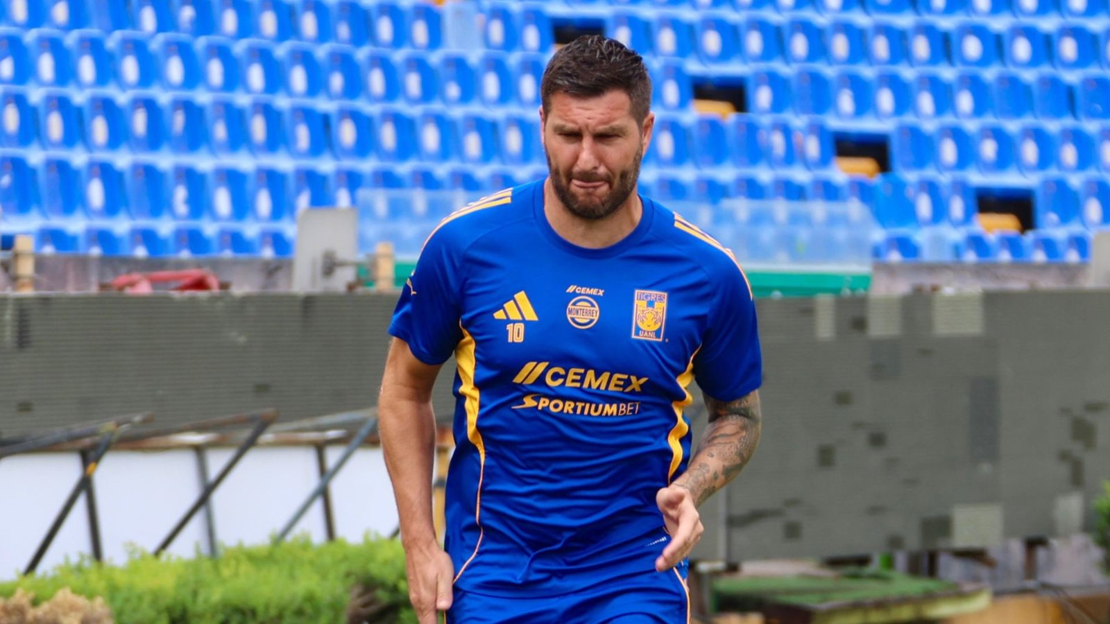 Plecas e informacion - 2025-09-17T105511.165