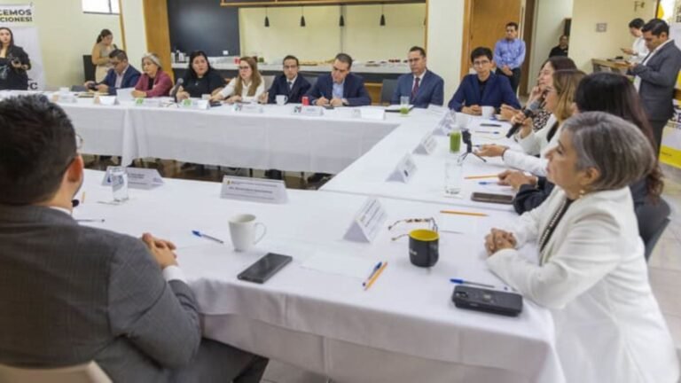 Plecas e informacion - 2025-09-23T094027.744