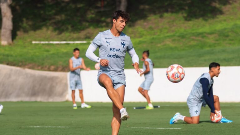 Plecas e informacion - 2025-09-23T115846.782