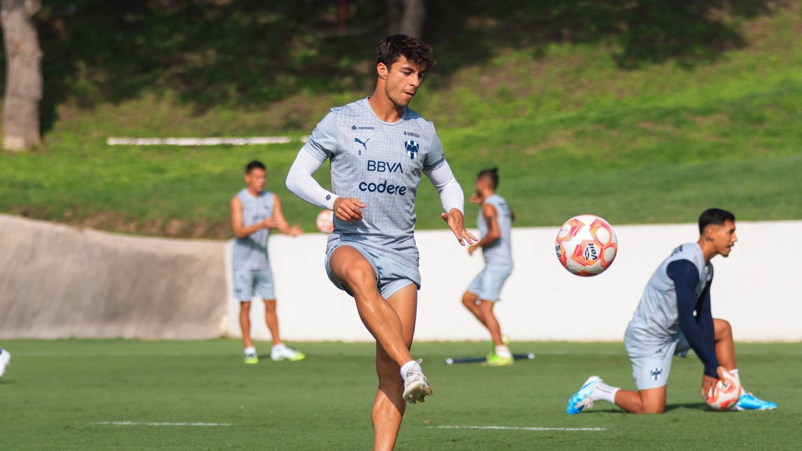 Plecas e informacion - 2025-09-23T115846.782