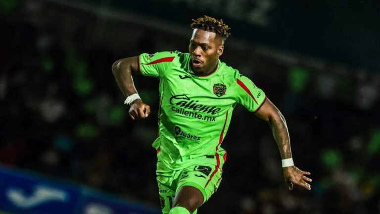 Plecas e informacion - 2025-09-26T101400.083