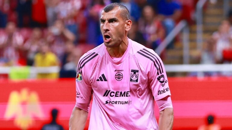 Plecas e informacion - 2025-09-26T115549.251