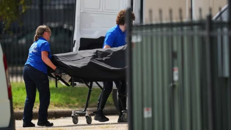 Plecas e informacion - 2025-09-27T120318.103