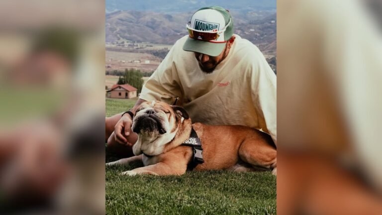 Plecas e informacion - 2025-09-29T104119.507