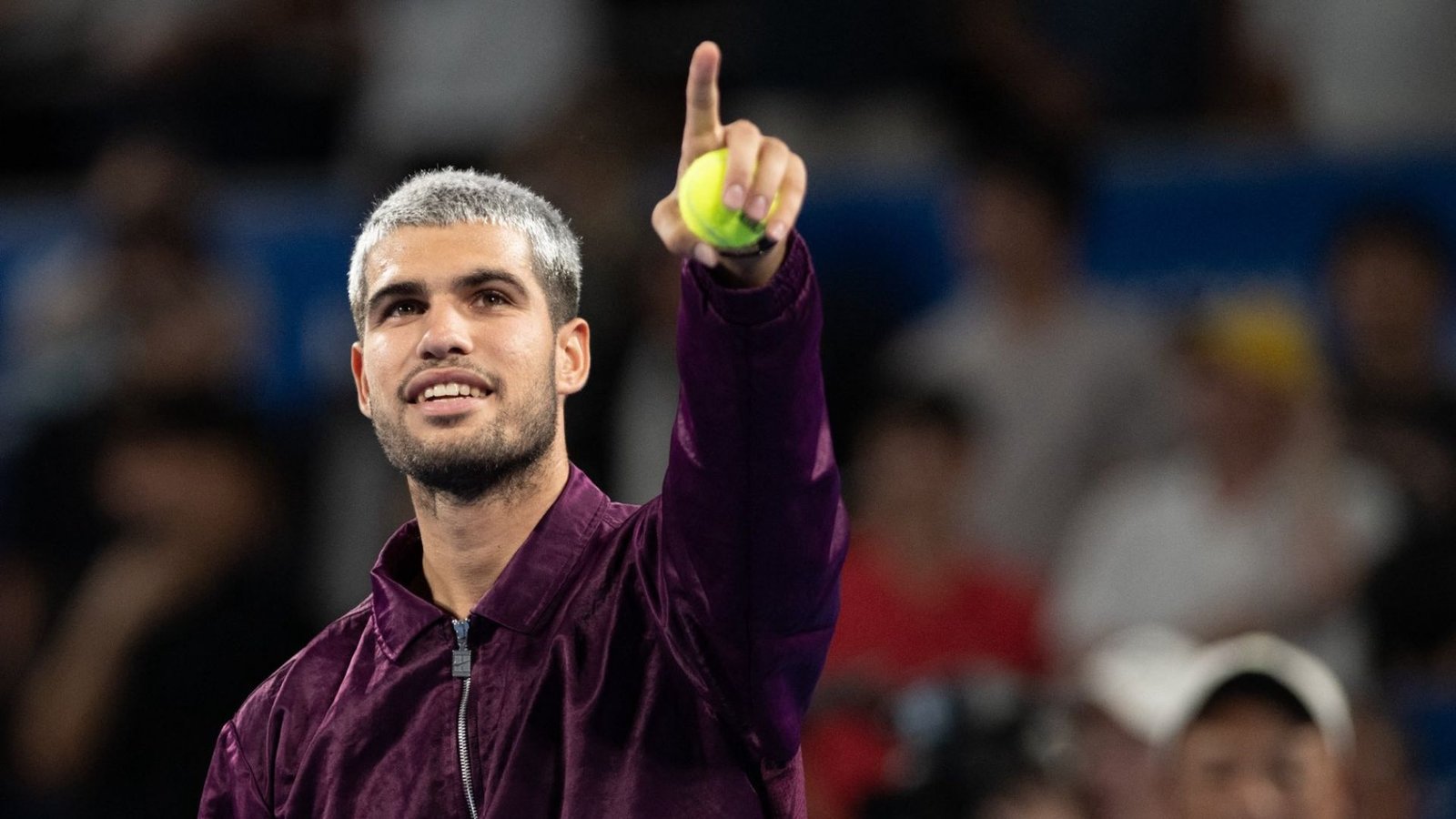 Plecas e informacion - 2025-09-29T122041.528