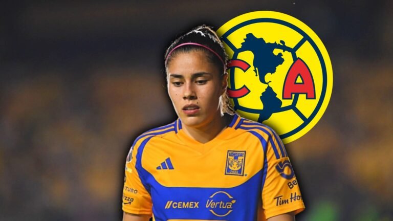 Plecas e informacion - 2025-09-30T094315.757