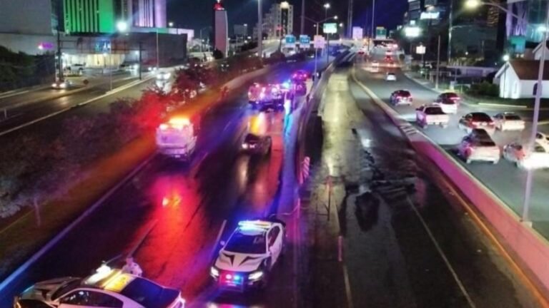 Plecas e informacion (24)