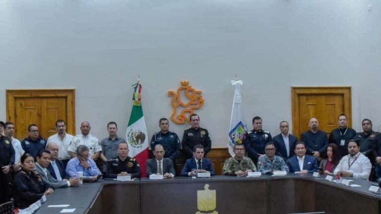 Plecas e informacion (27)