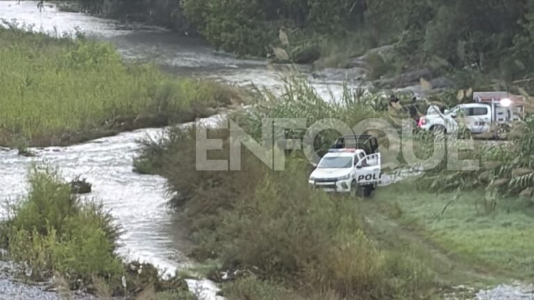 Plecas e informacion (34)