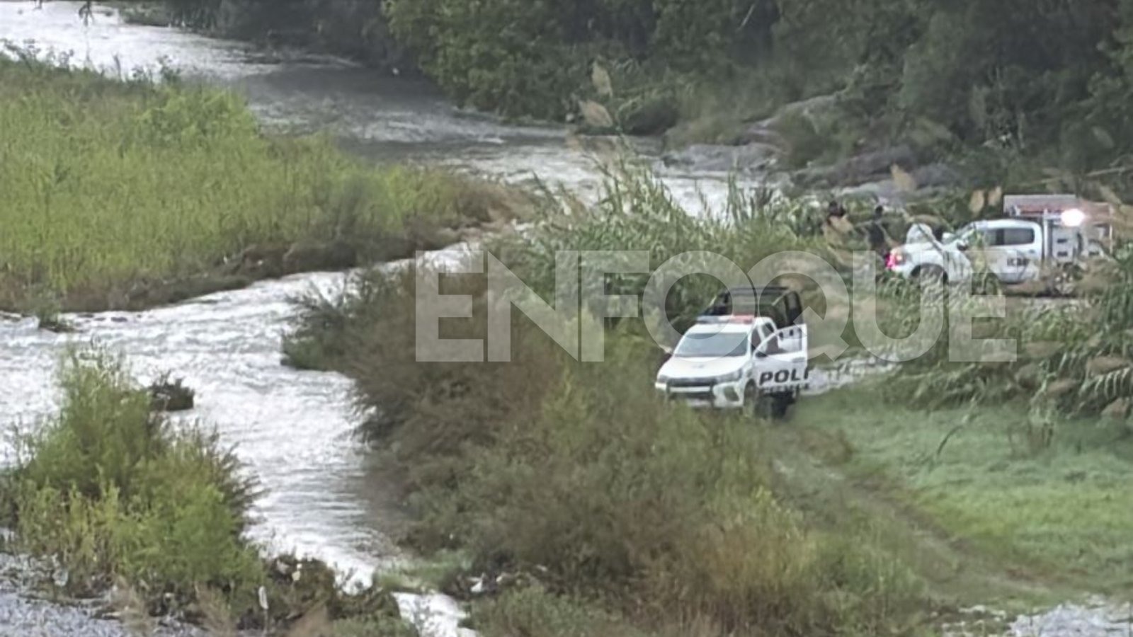 Plecas e informacion (34)