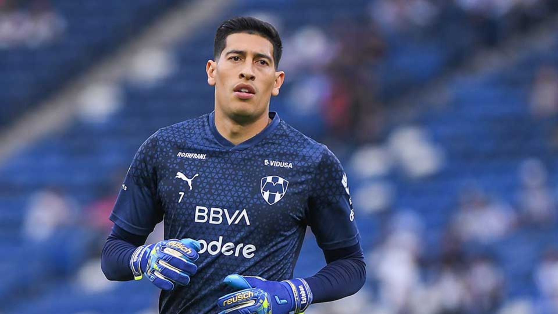 Plecas e informacion (45)